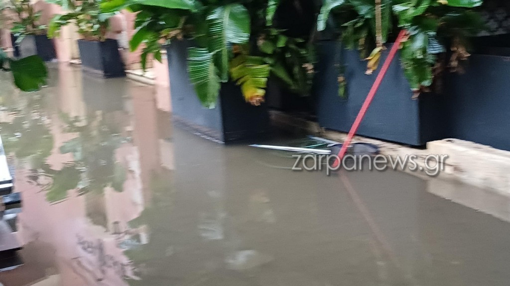 zarpa vrox 611 d969c