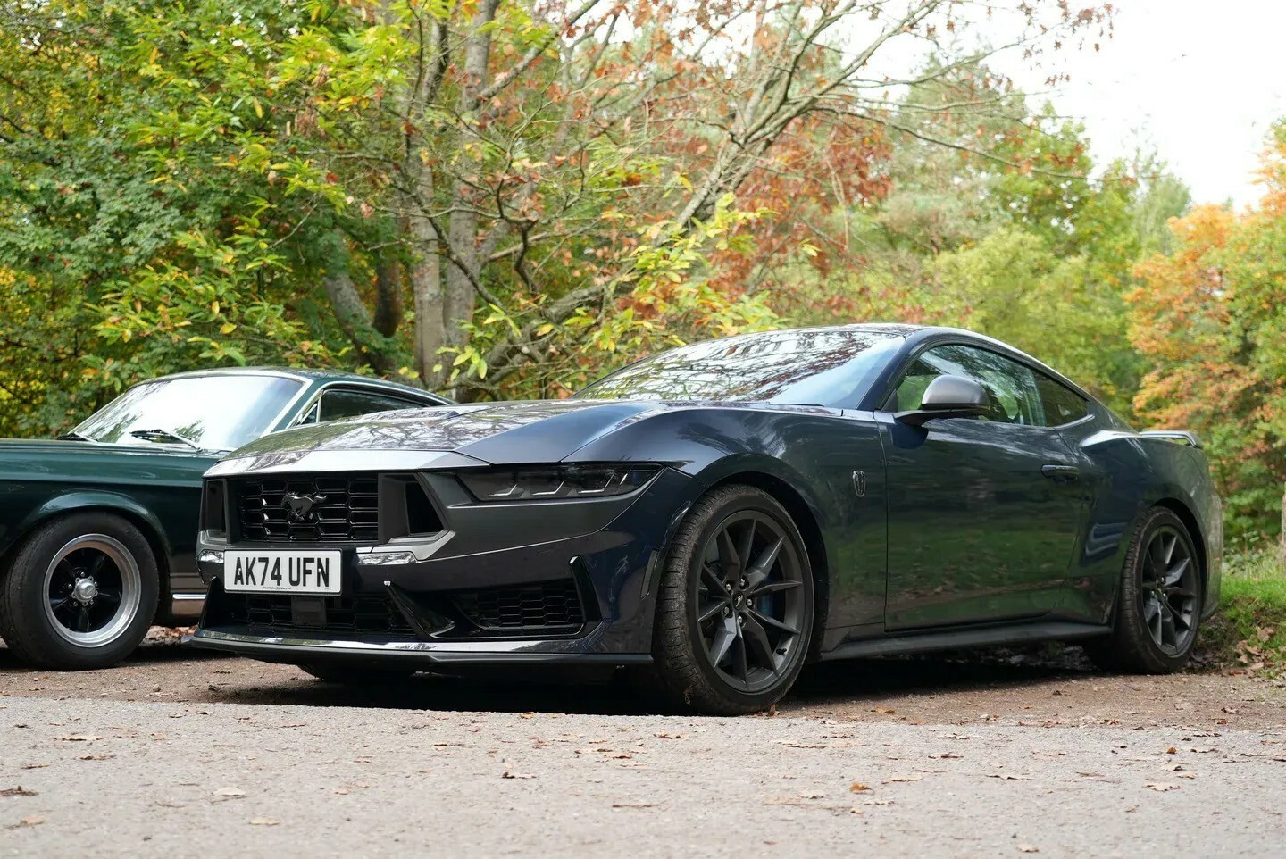 HAMMOND MUSTANG DARK HORSE 02 d577a