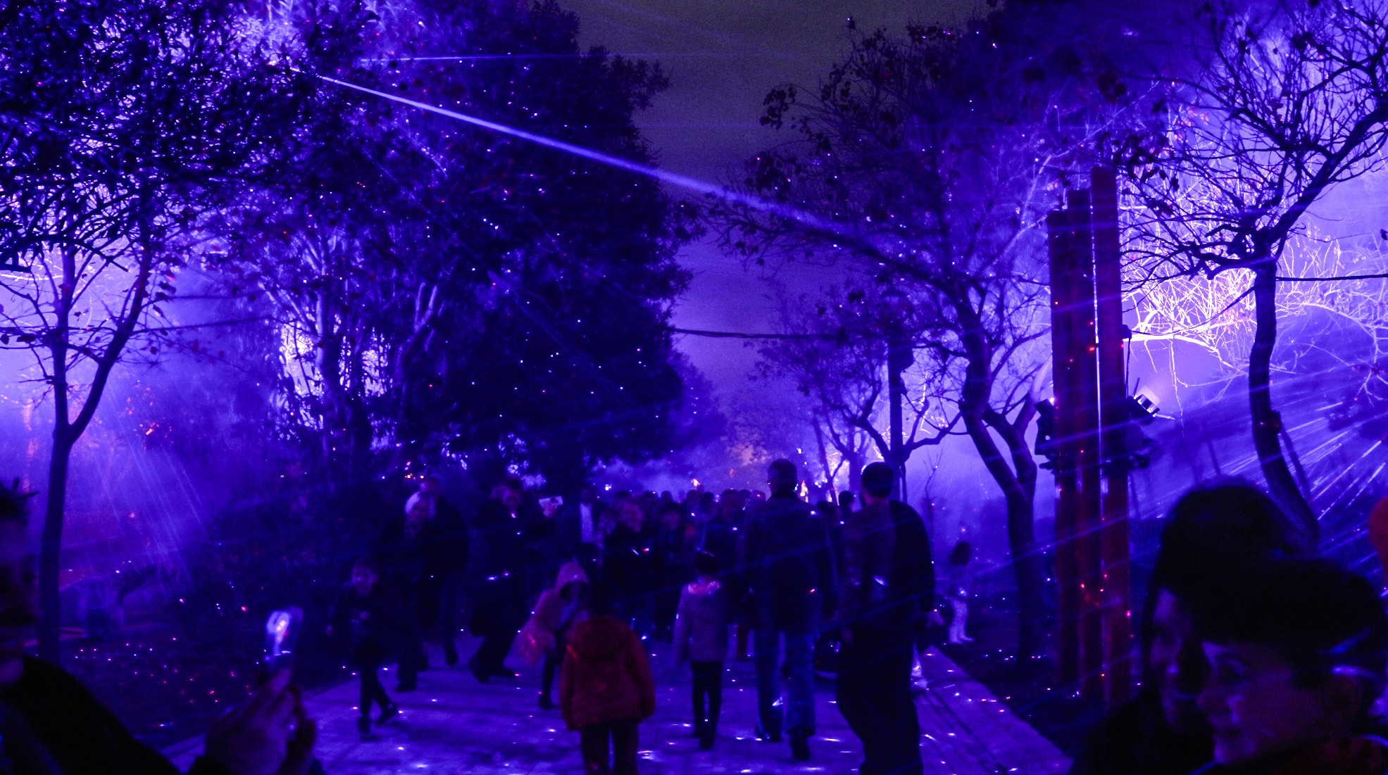 PROTERGIA DT 43 4ab52