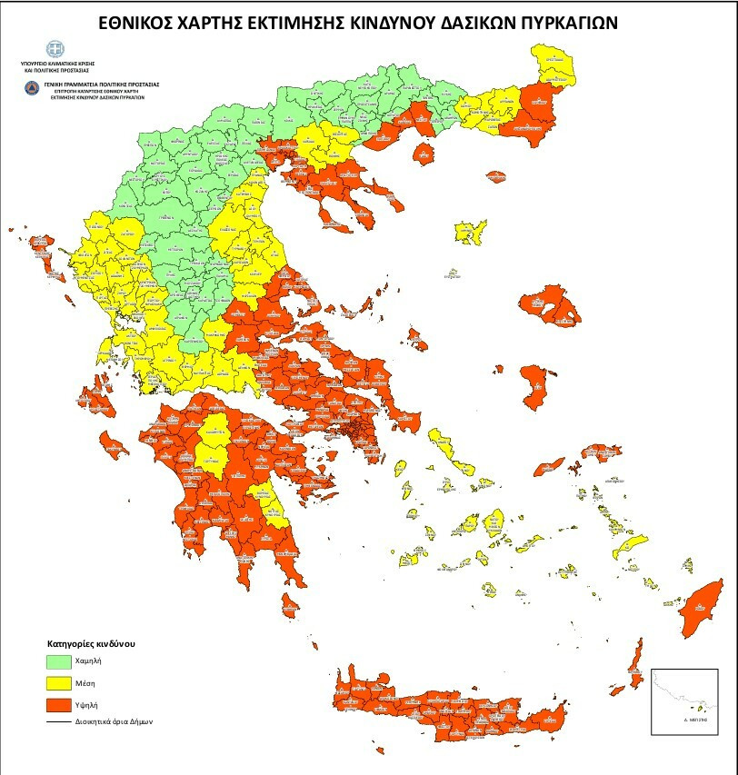 XARTIS PYRKAGIES b0278