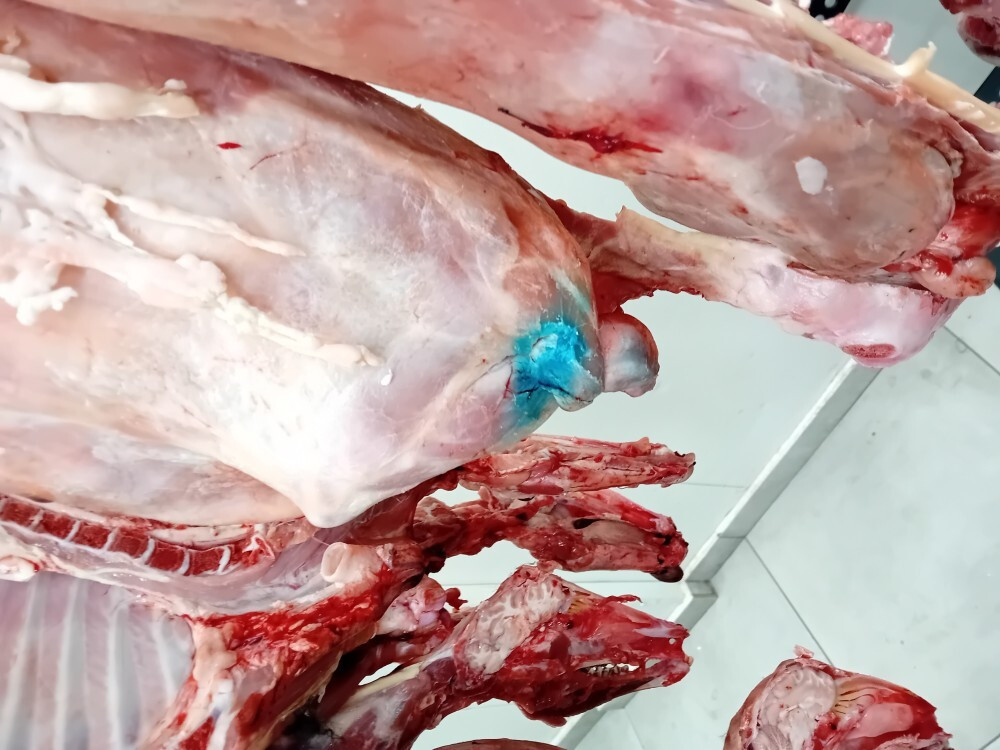 20250412 100356 1 1000x750 49468