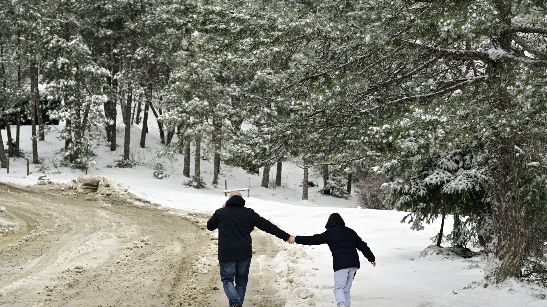 xionia attiki parnitha 3 ea1d4