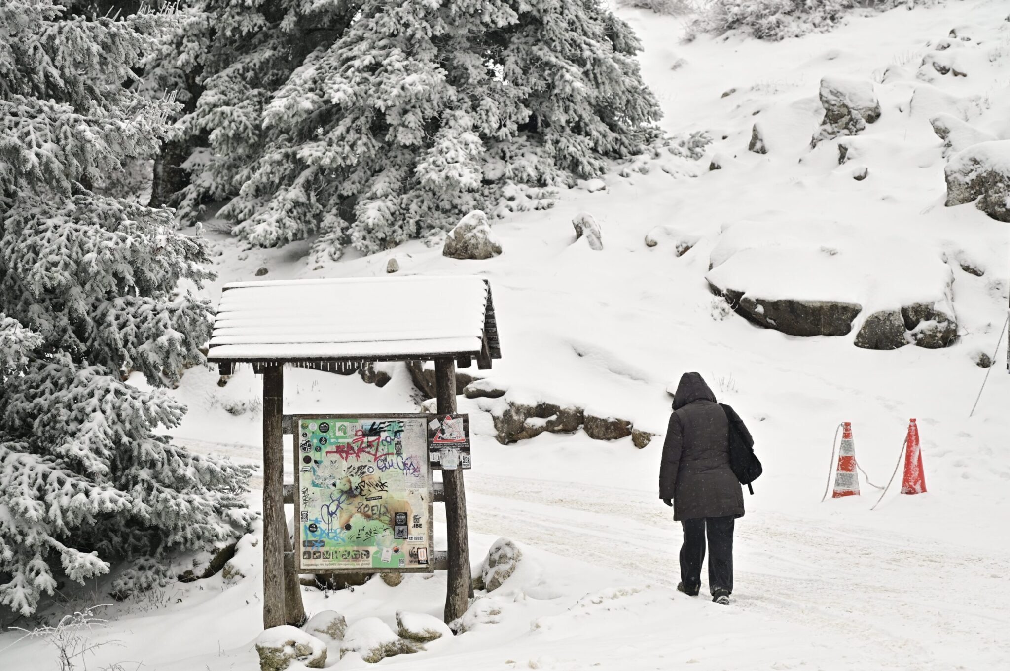 67b85c92140000140004a58c 2048x1362 55d69