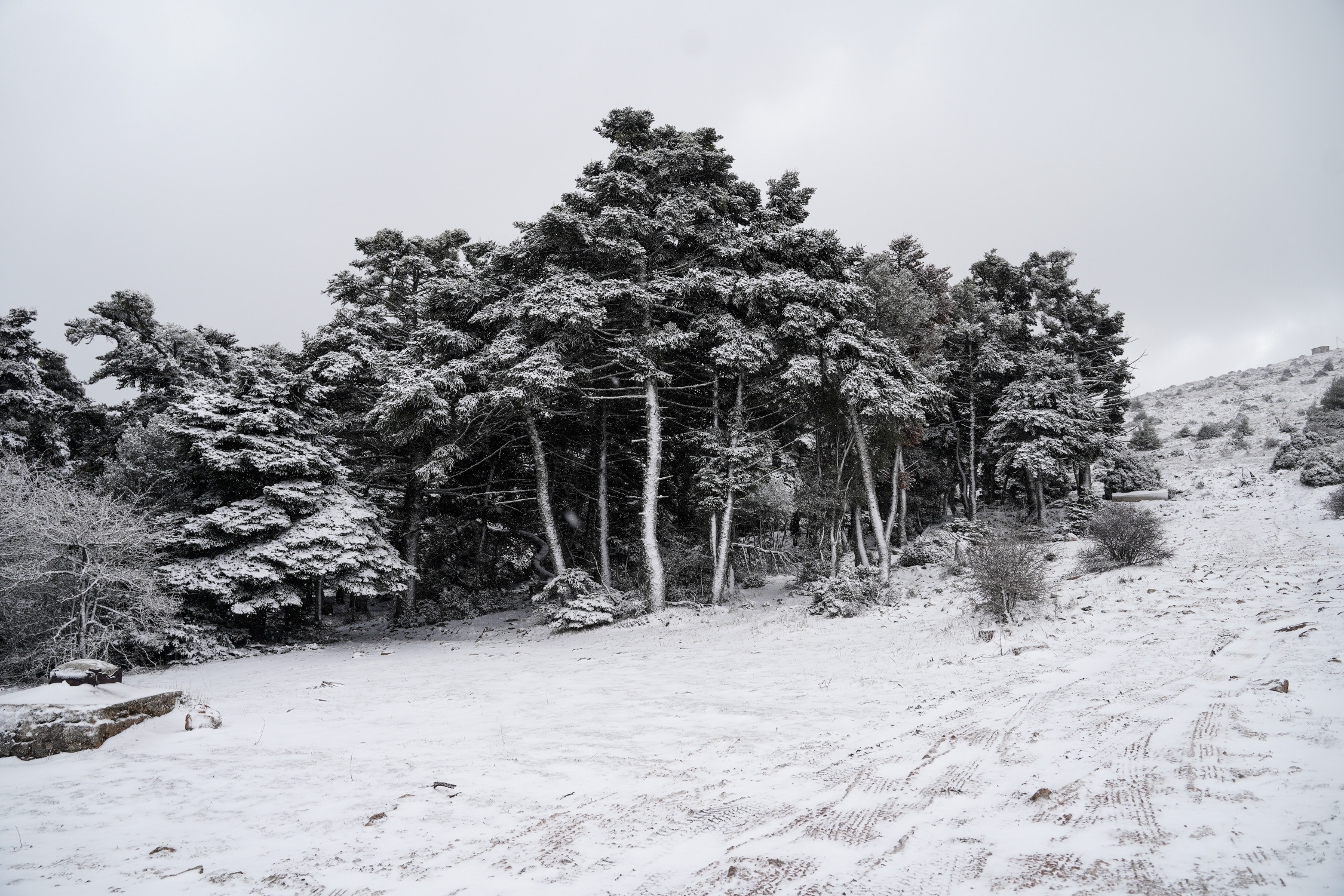 npb048551740045535 c2c0c