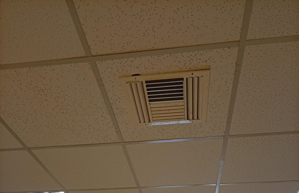 peristeri nigia 2 15623