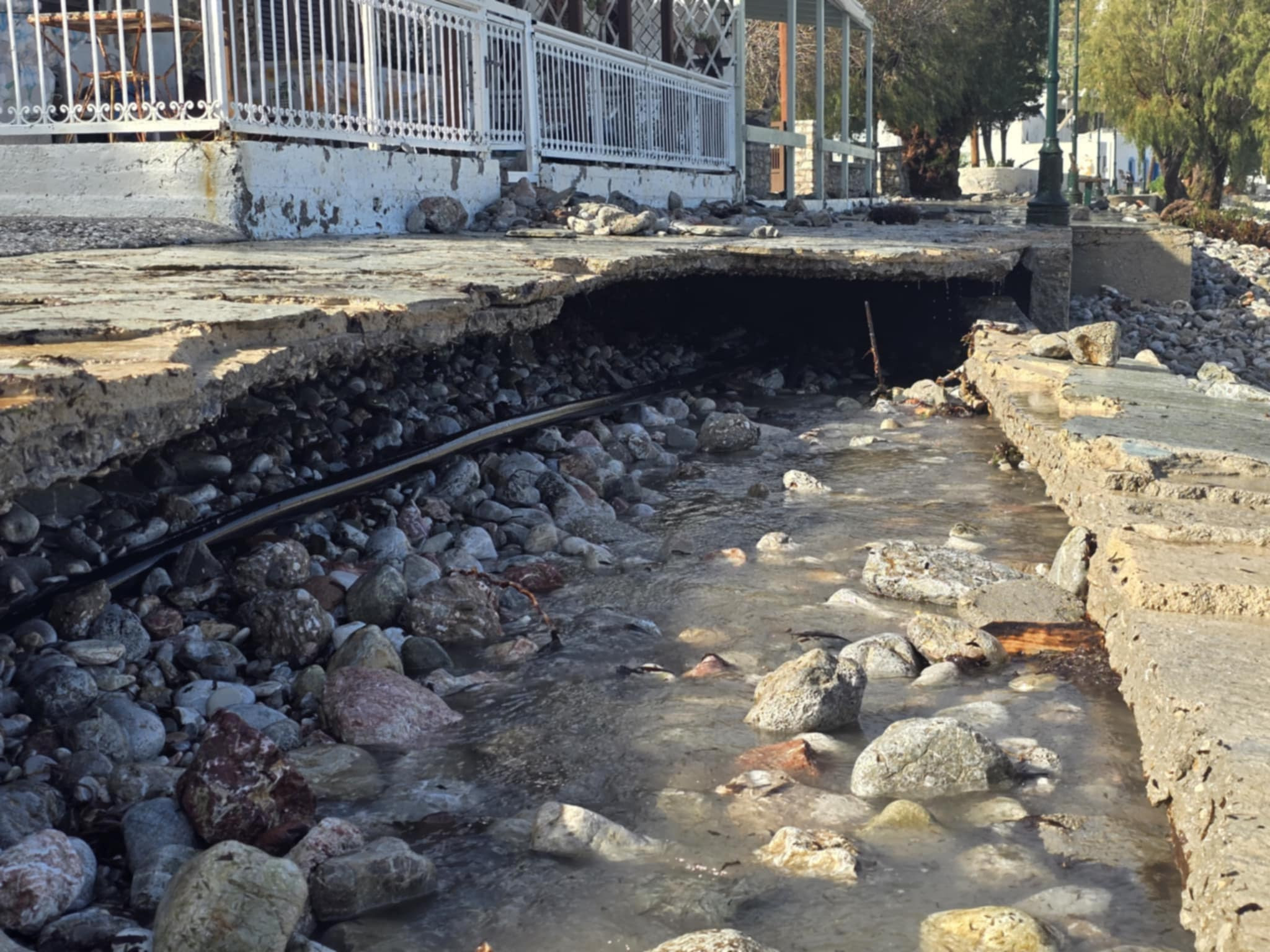 619425872 1282511623691231 7774971458152125993 n dfd05