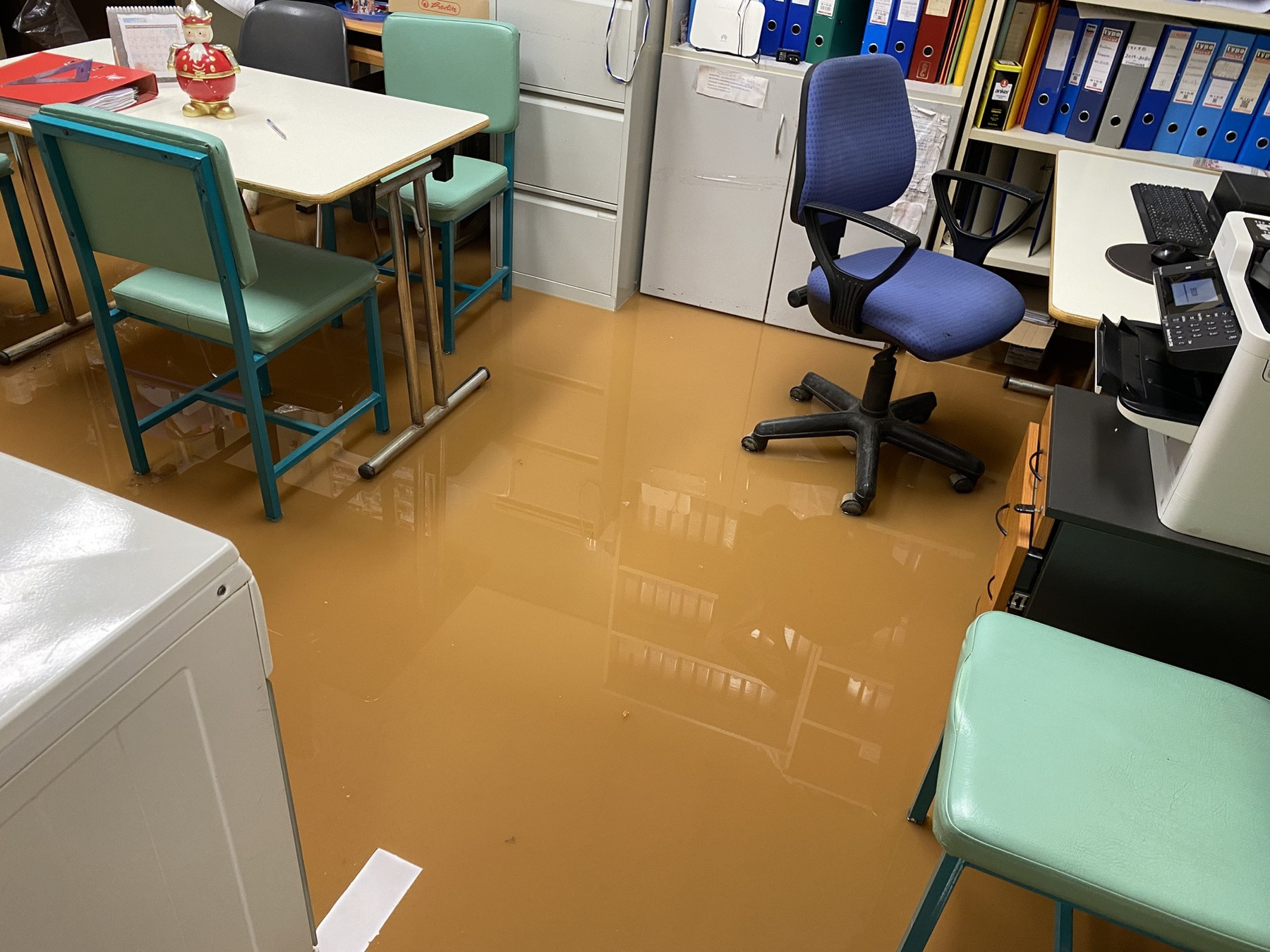 plimmira koropi 2 7298e