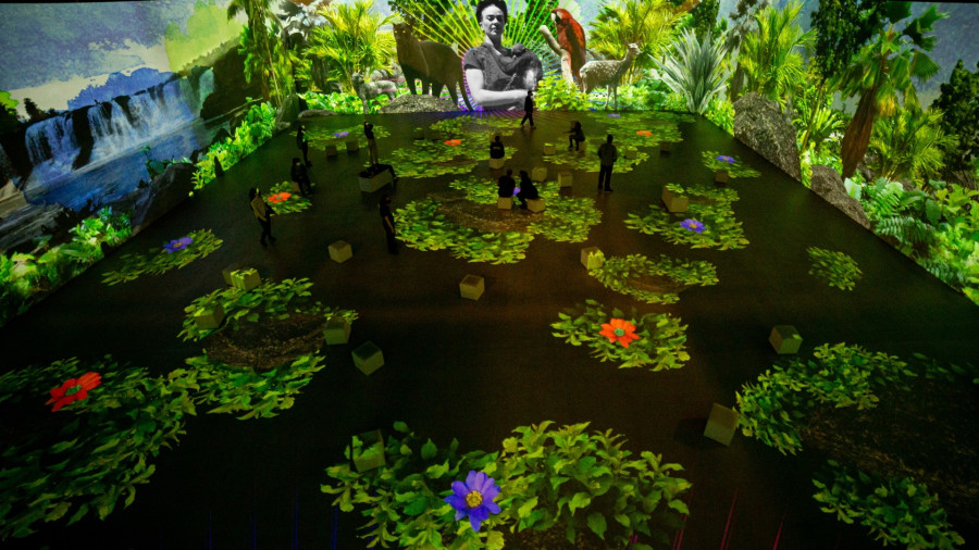 Immersive_Frida_2_c933d.jpg