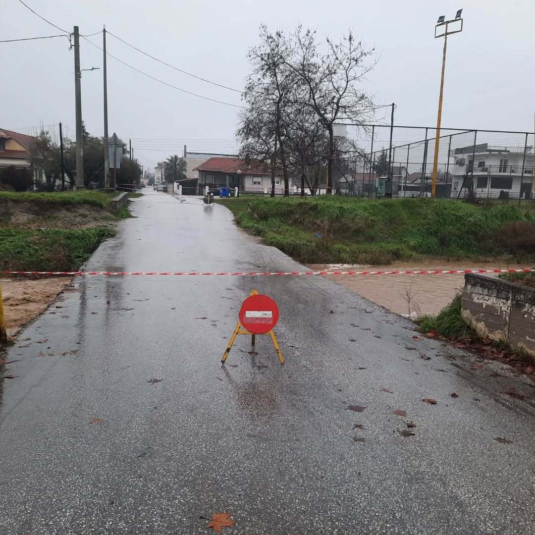 serres kleistes 261 7c0e8