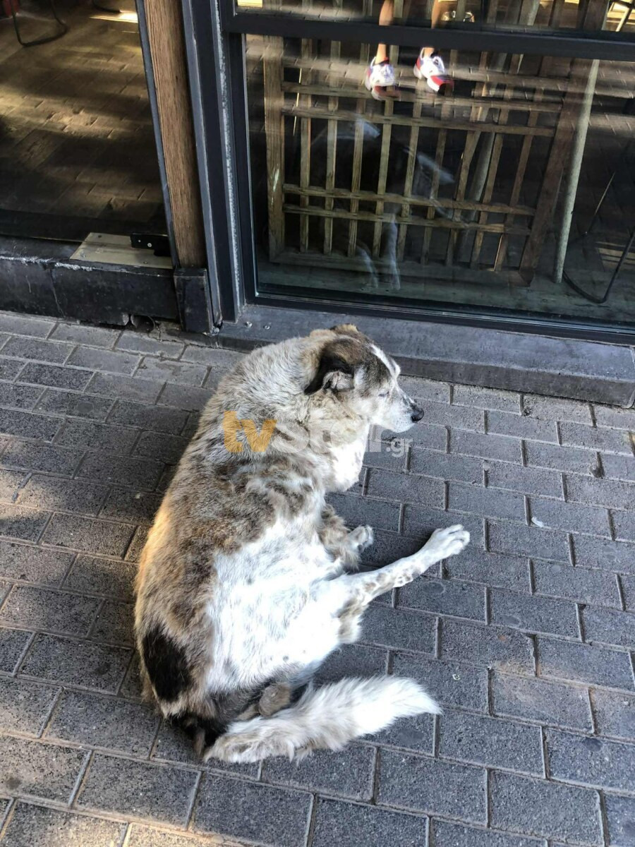 202602021422308304 f5536