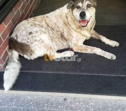 202602021422323783 60194