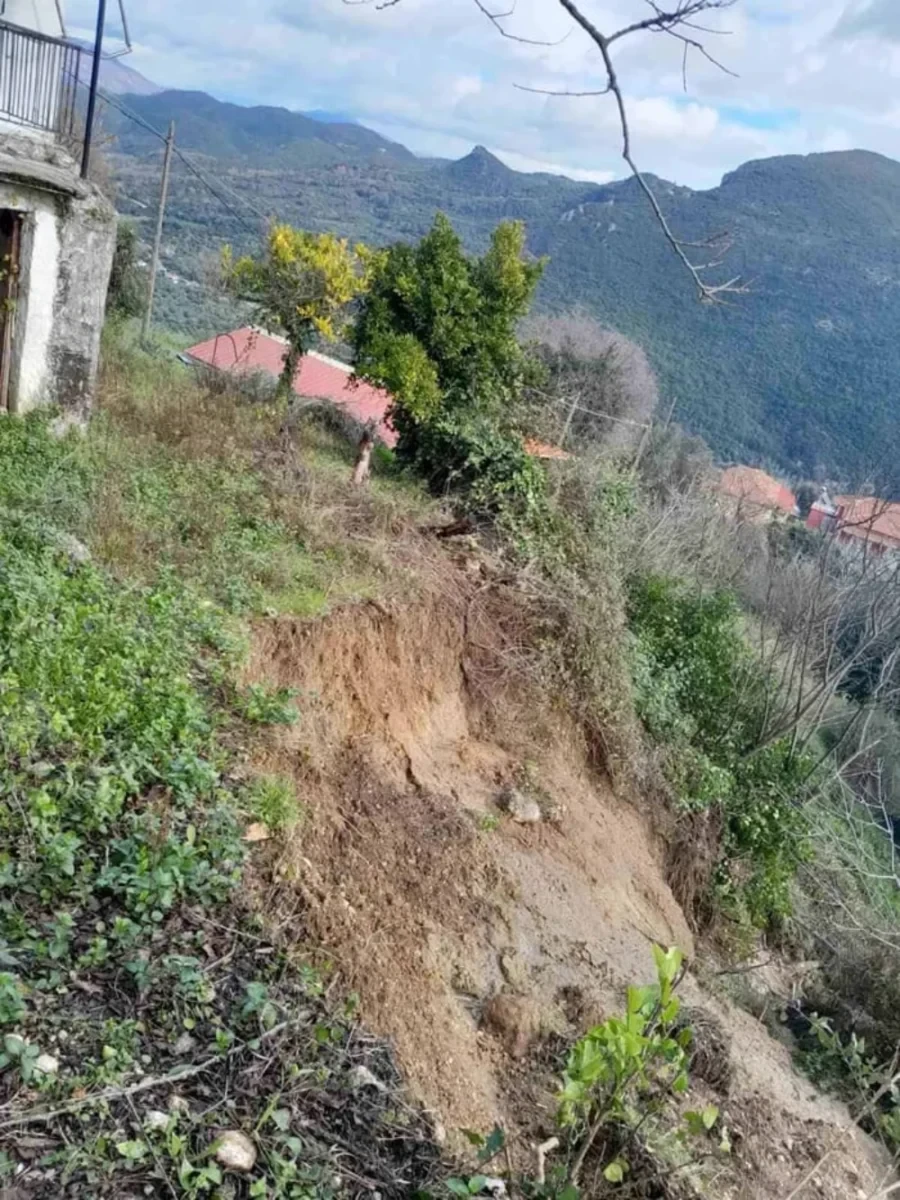 mirsini2 900x1200 a5a2d