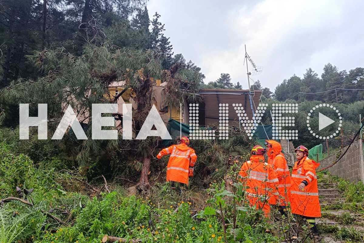 katakolo dentro 1 6318f