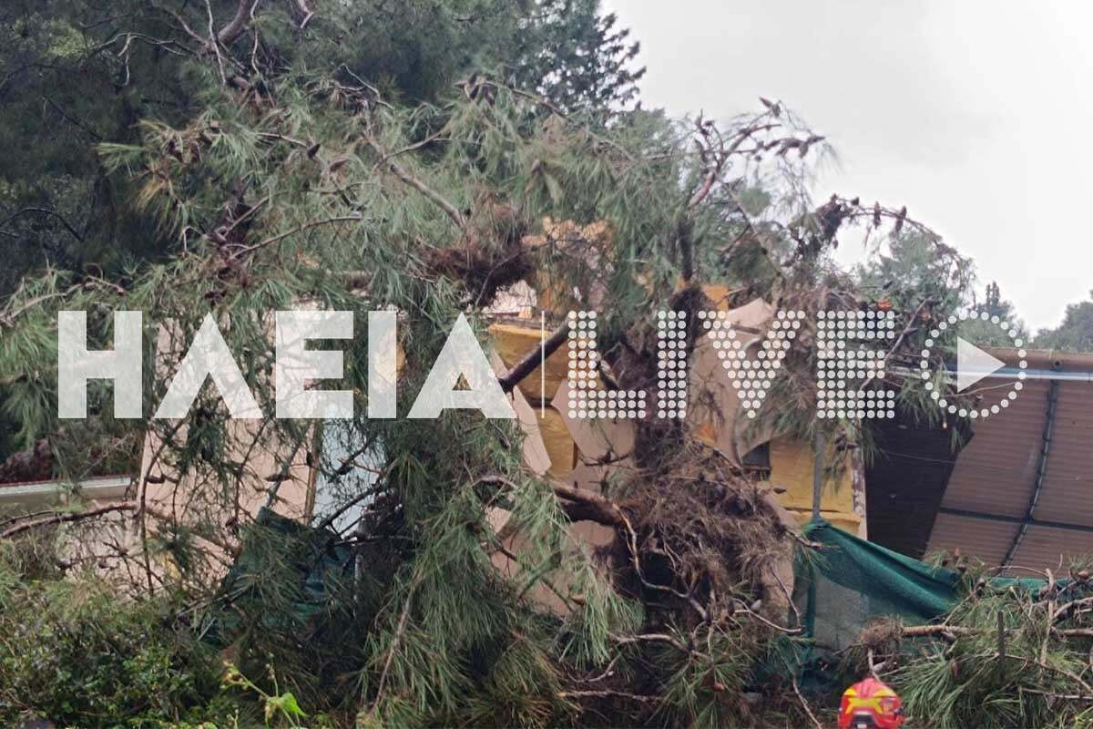 katakolo dentro 2 23504