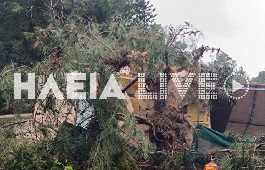 katakolo dentro 648f7