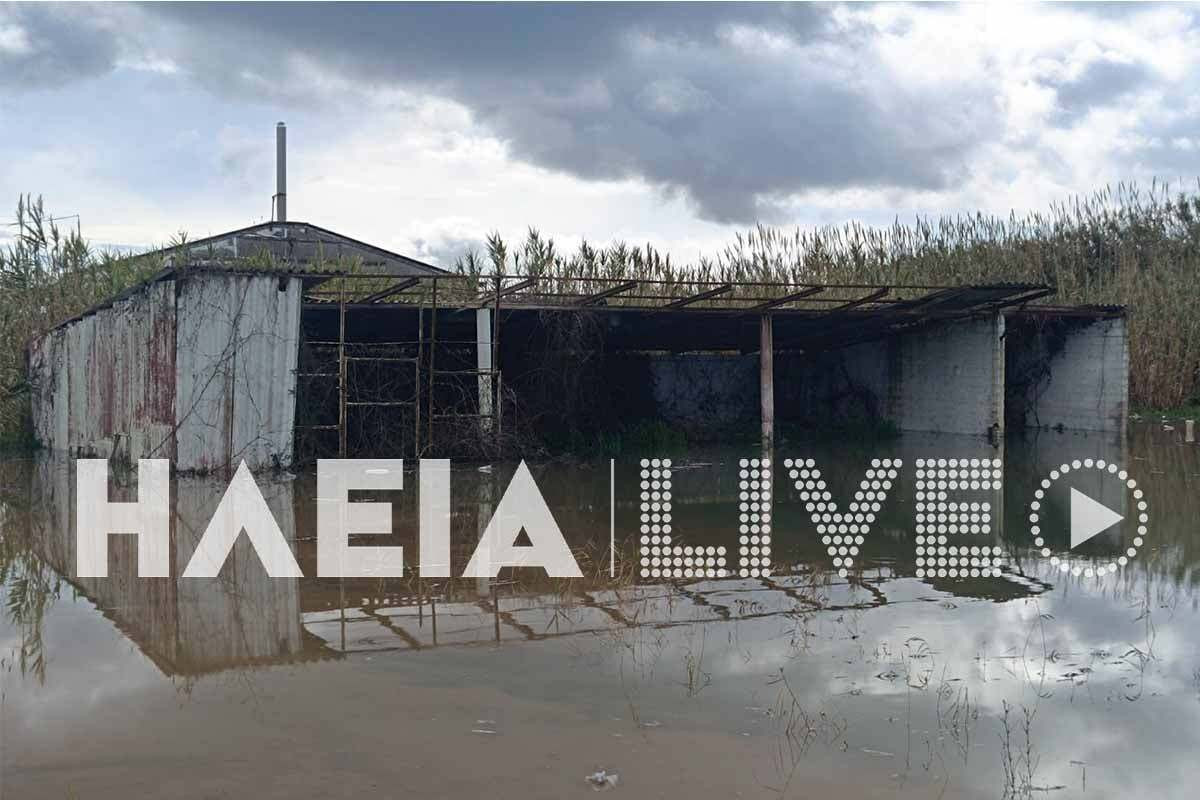 vartholomio plim 7 6341c