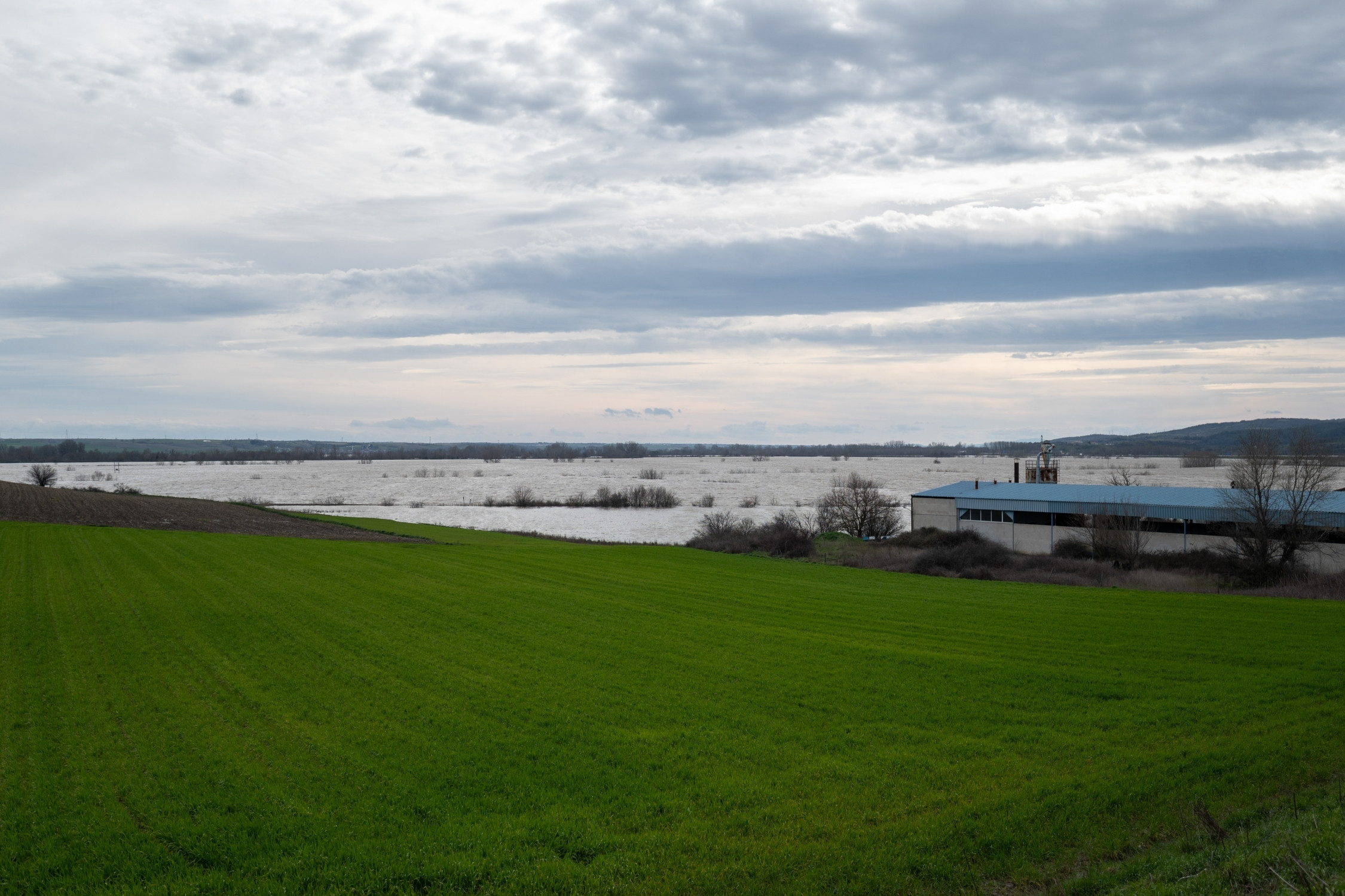 00 0001 20260224 gkalkanidis 1 sooc1771950031 1 f3b00