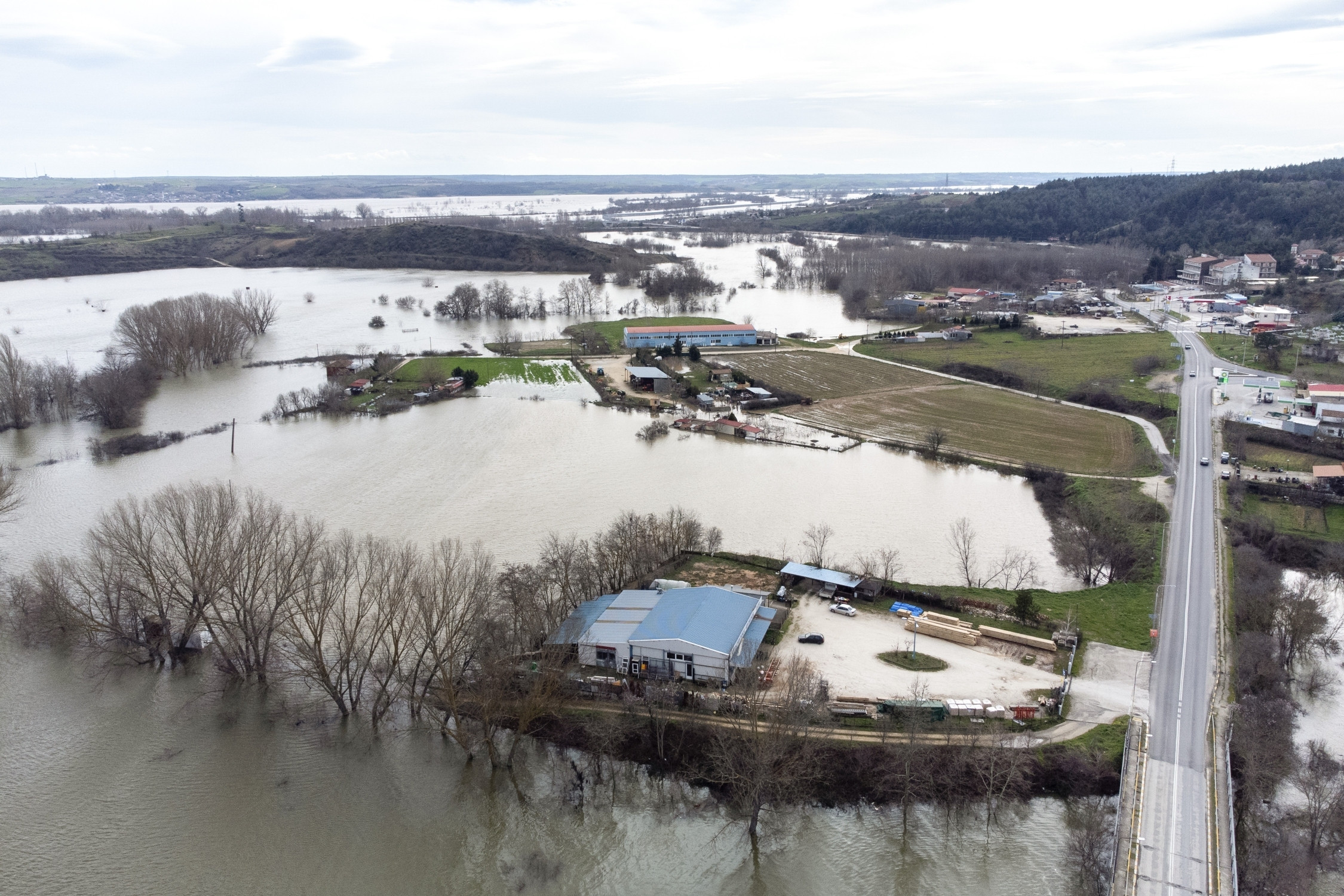 00 0001 20260224 gkalkanidis 1 sooc1771950031 8 37780