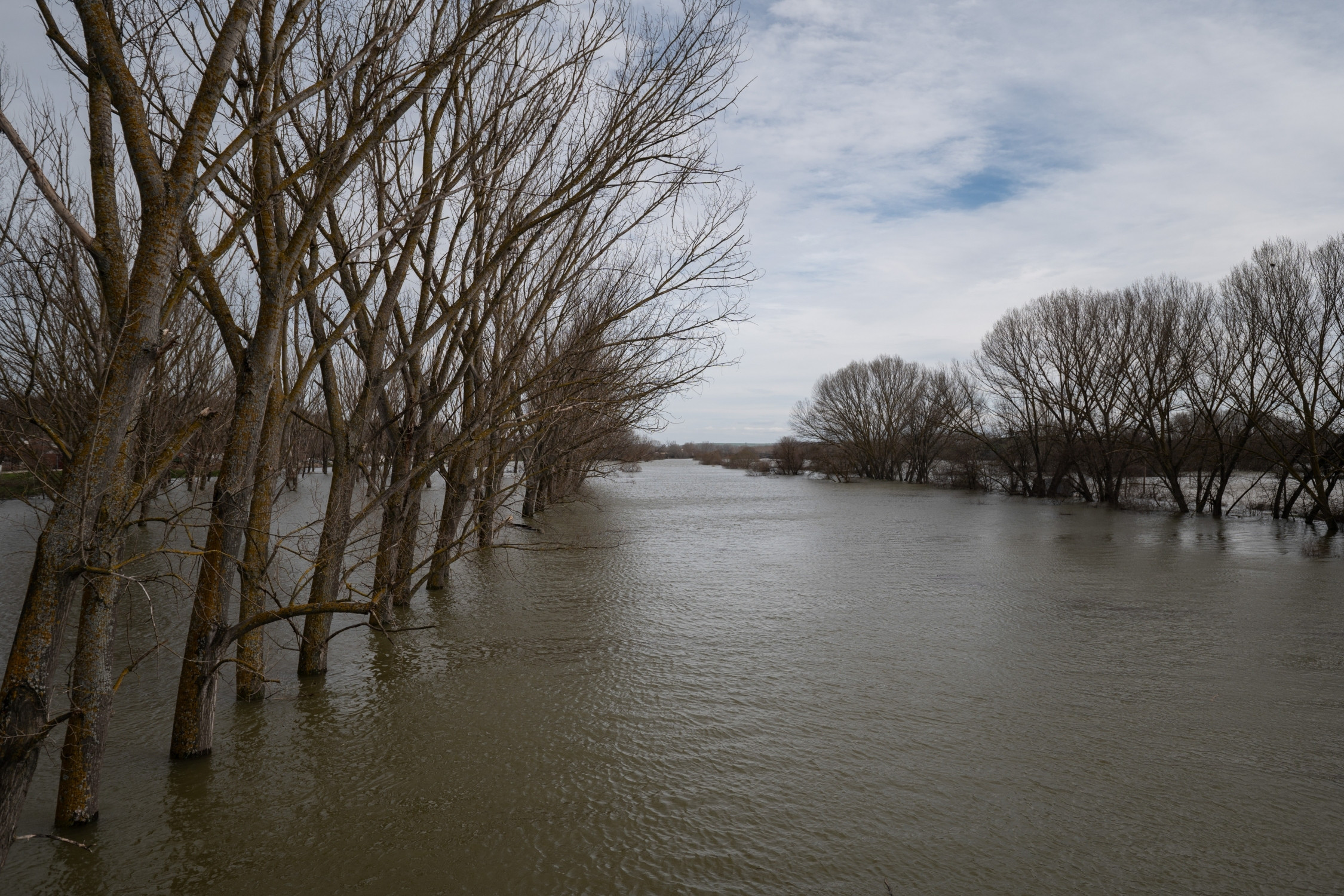 00 0001 20260224 gkalkanidis 1 sooc1771950031 b45c6