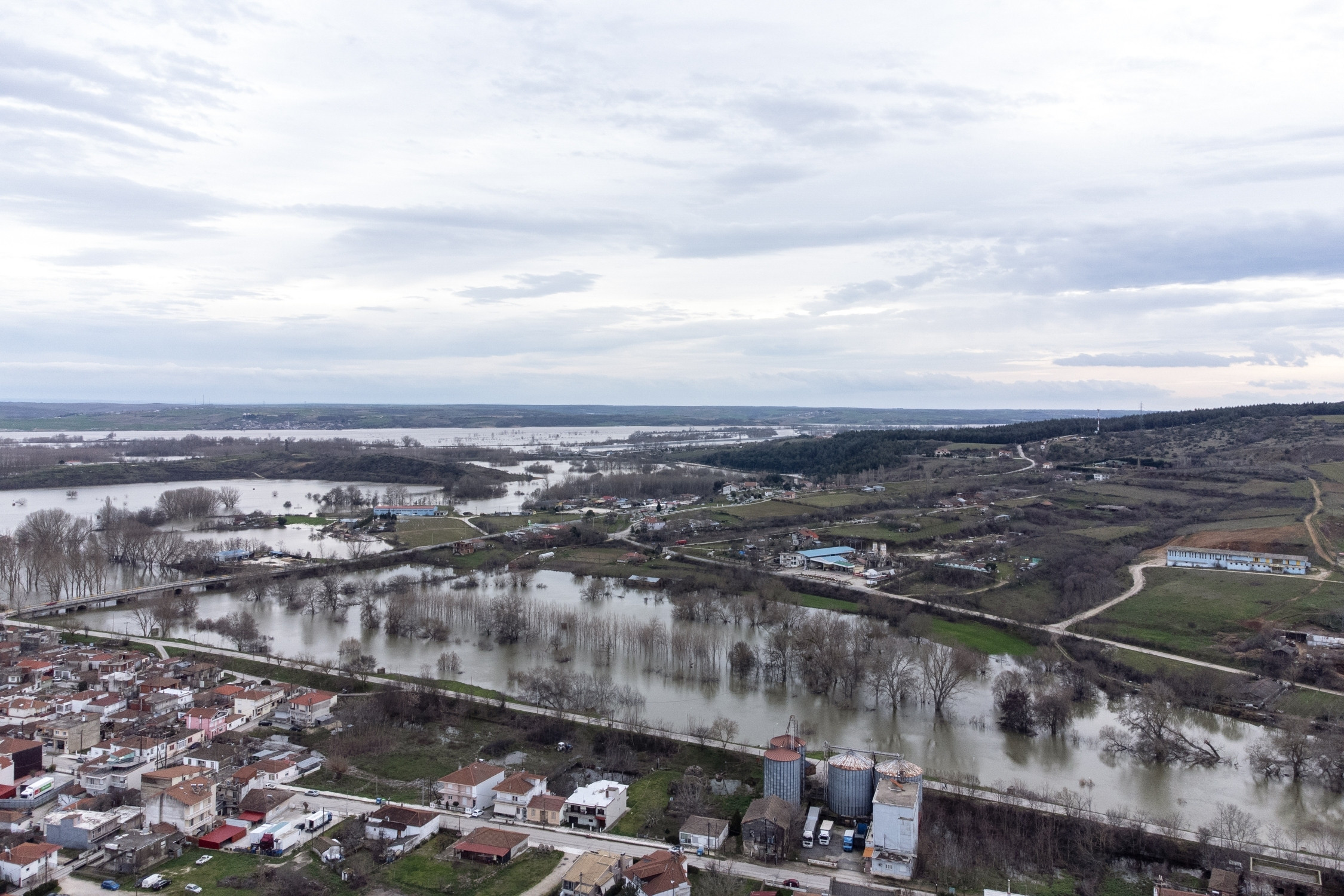 00 0034 20260224 gkalkanidis 40 sooc1771950066 88512