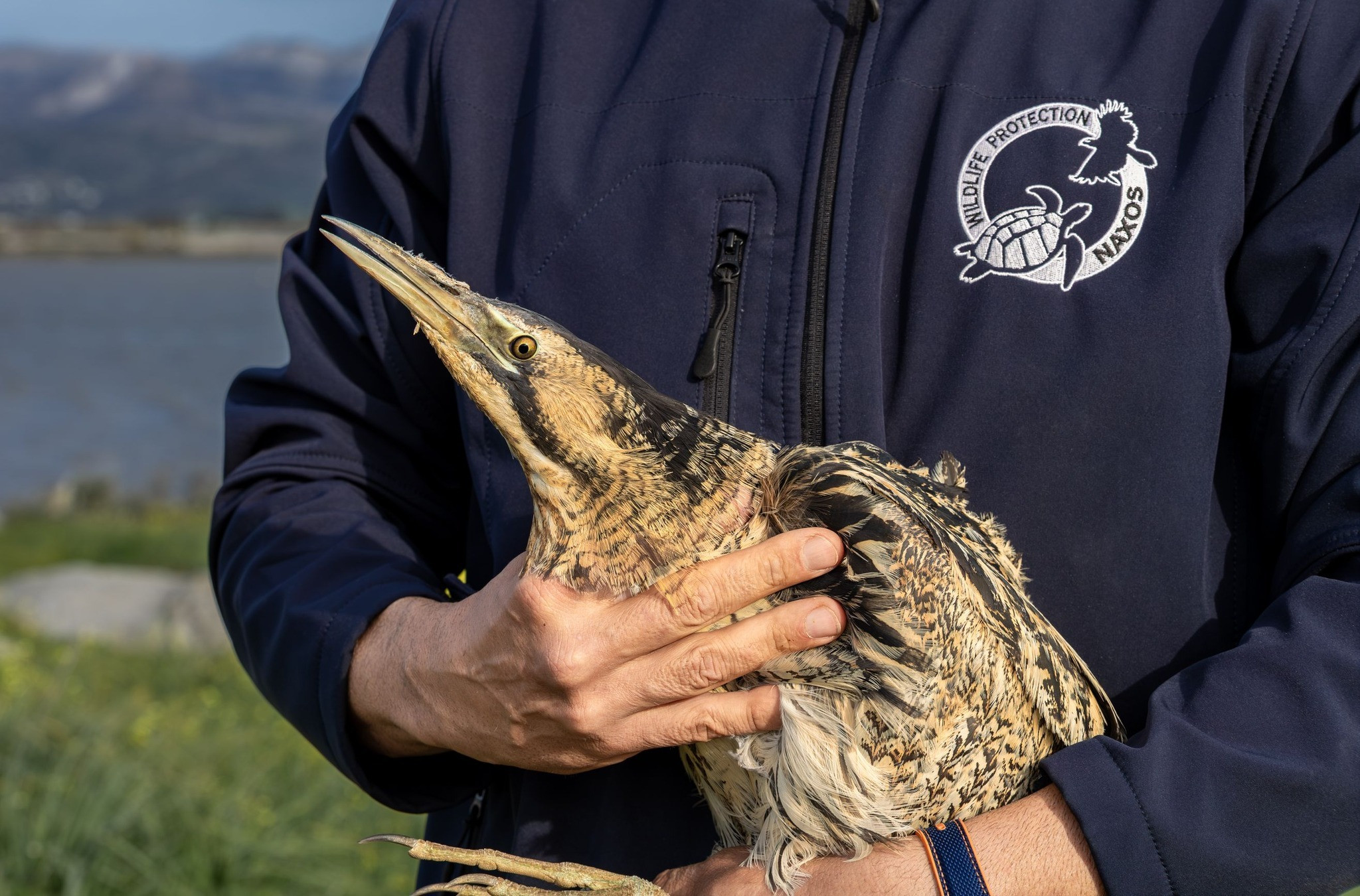 645224261 1331442479029737 3830753832223380638 n d12ec