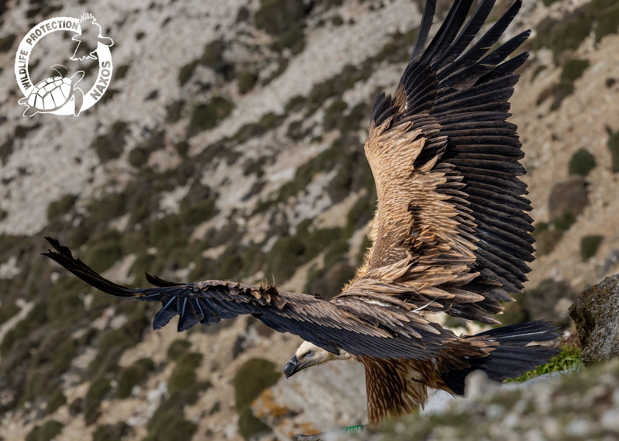 645510418 1331435642363754 6281858843313589524 n 93f49