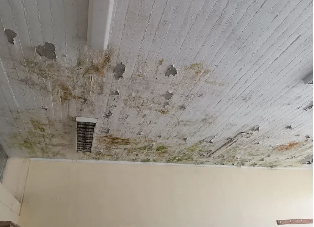 8ogel sovadesmesa 744d0