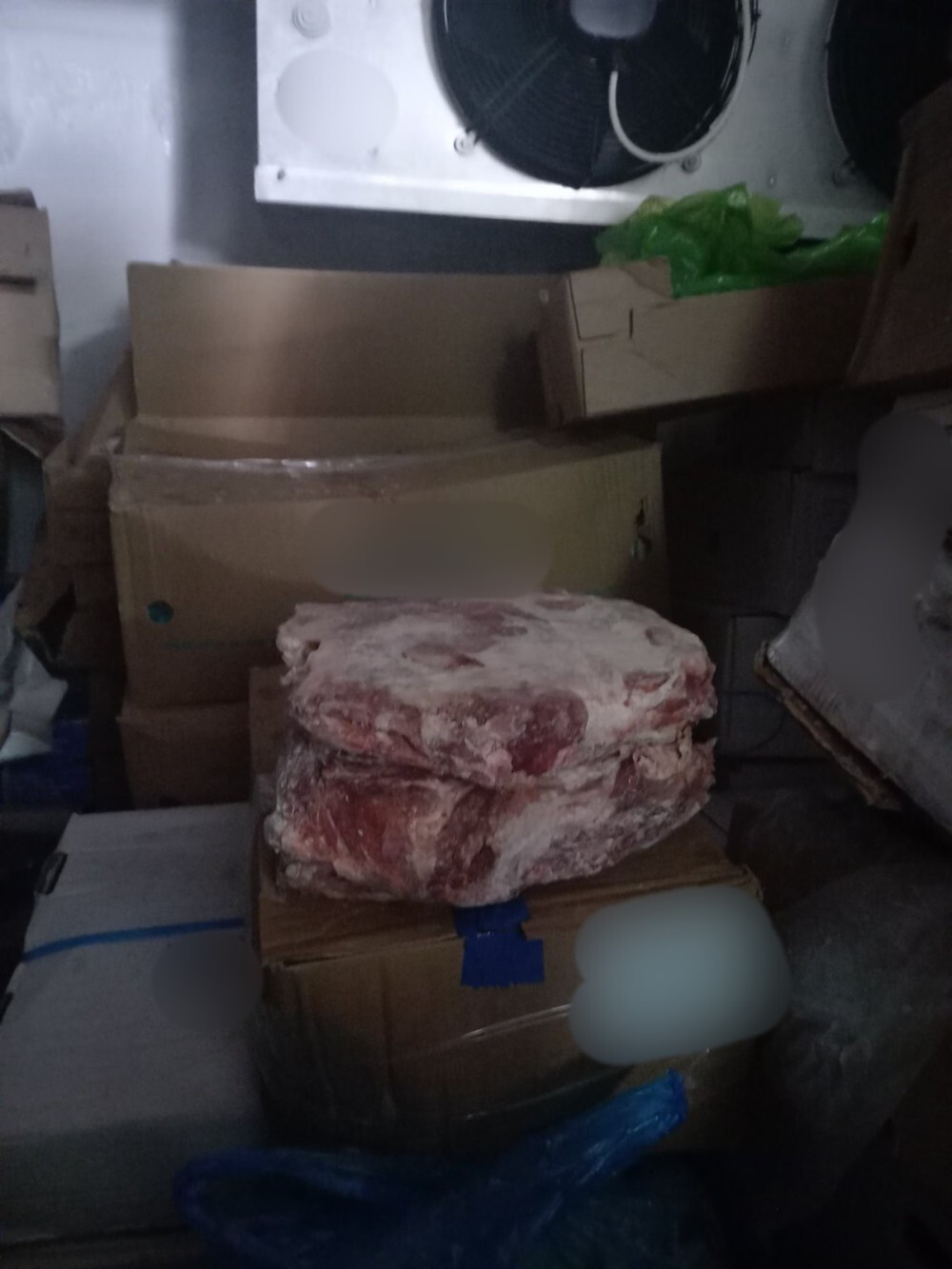 IMG 2200 1000x1333 28431