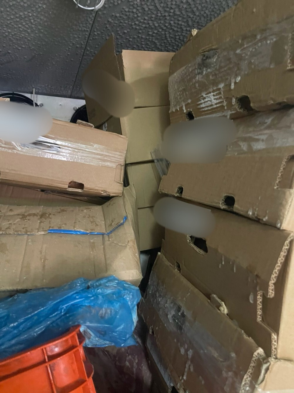 IMG 2202 1000x1333 87766