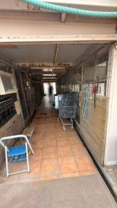 31032026 photo 2 169x300 74712