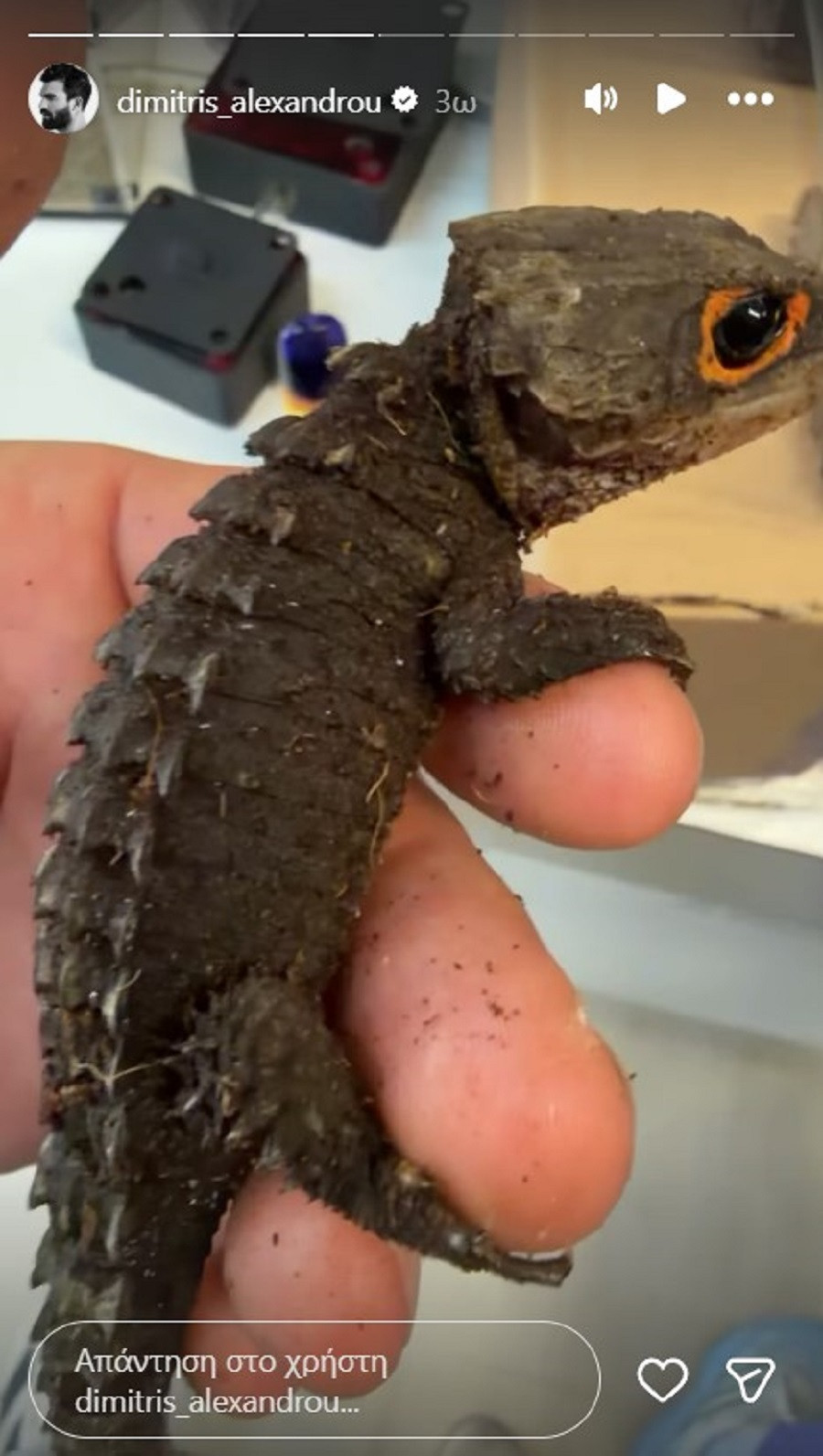 alexandrou mesa1 4c9a0