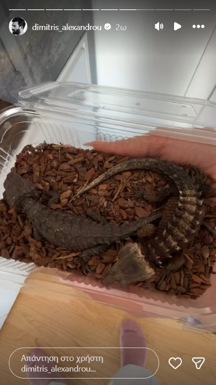 alexandrou mesa 3 43e98