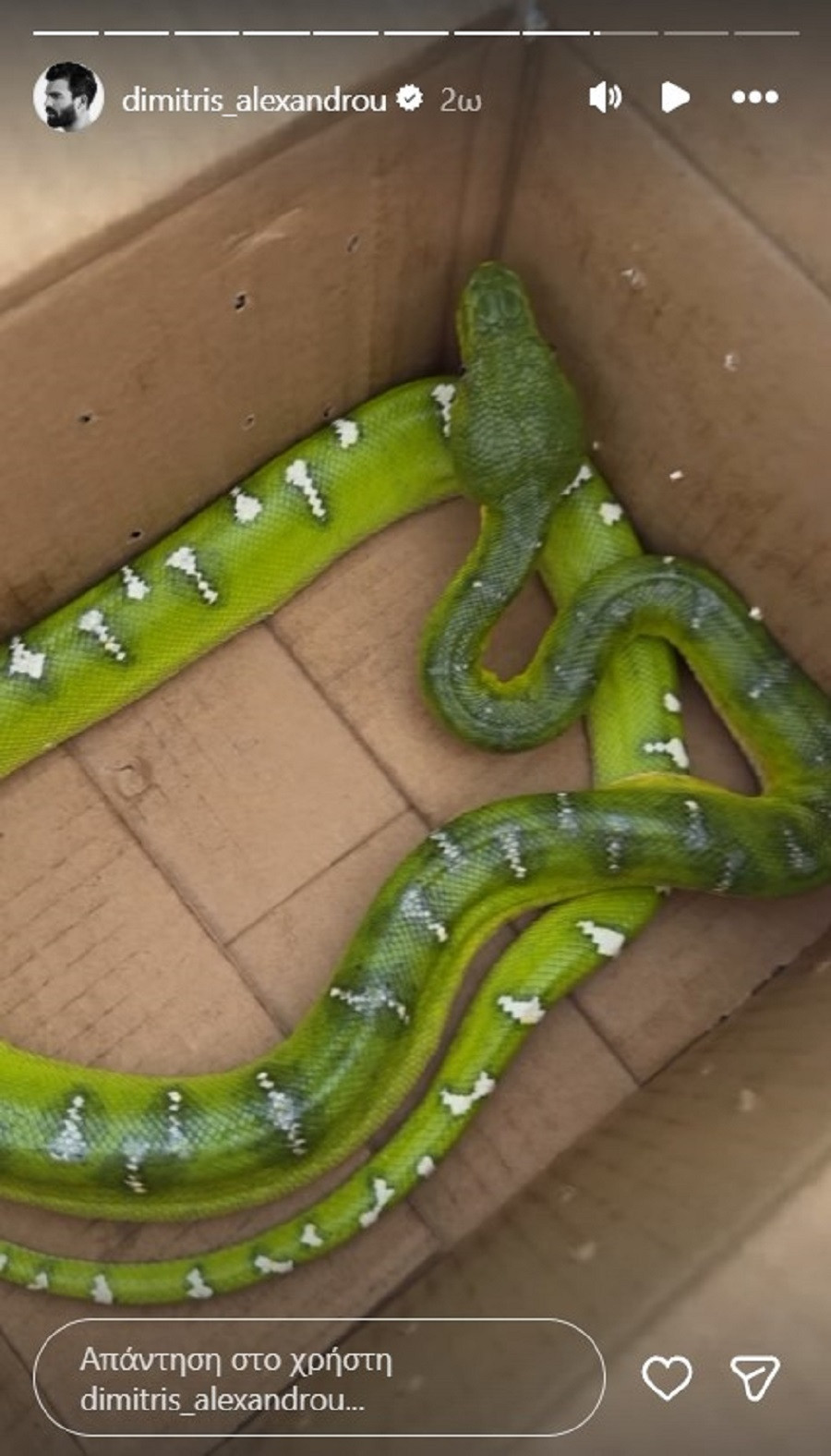 alexandrou mesa 4 3b6ce