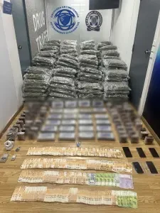 08042026 dt aea 3 copy 225x300 eaeee