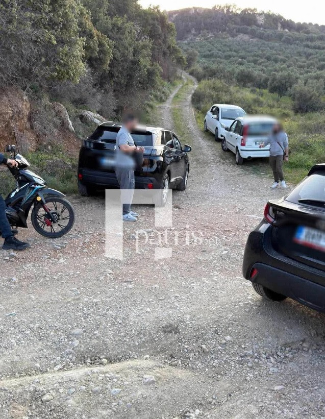 kriti 214 patris 2 eee69