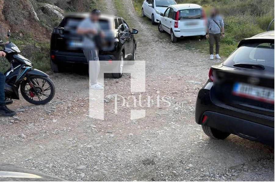 kriti 214 patris c3544