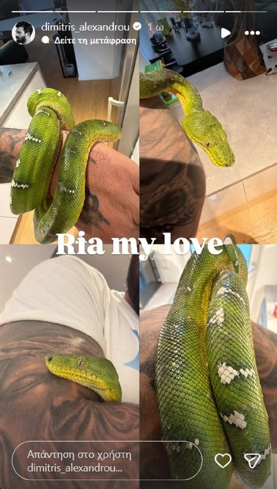 alexandrou mesa fce93