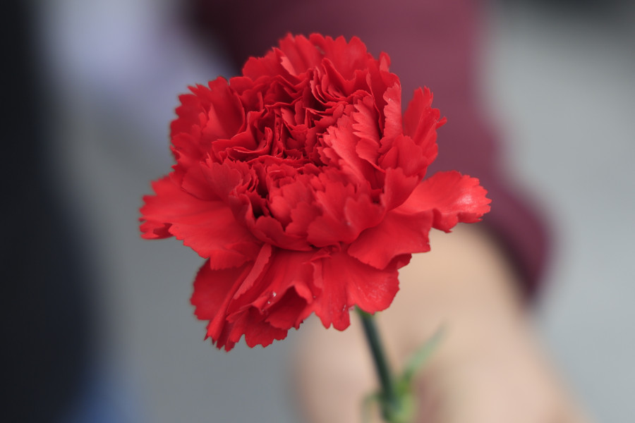 protomagia_5_7f59a.jpg