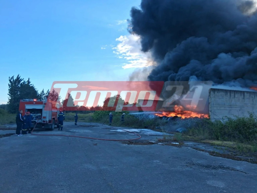 fire1_d8f05.jpg