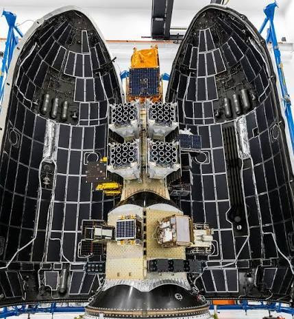 ororatechlaunch2_50093.jpeg