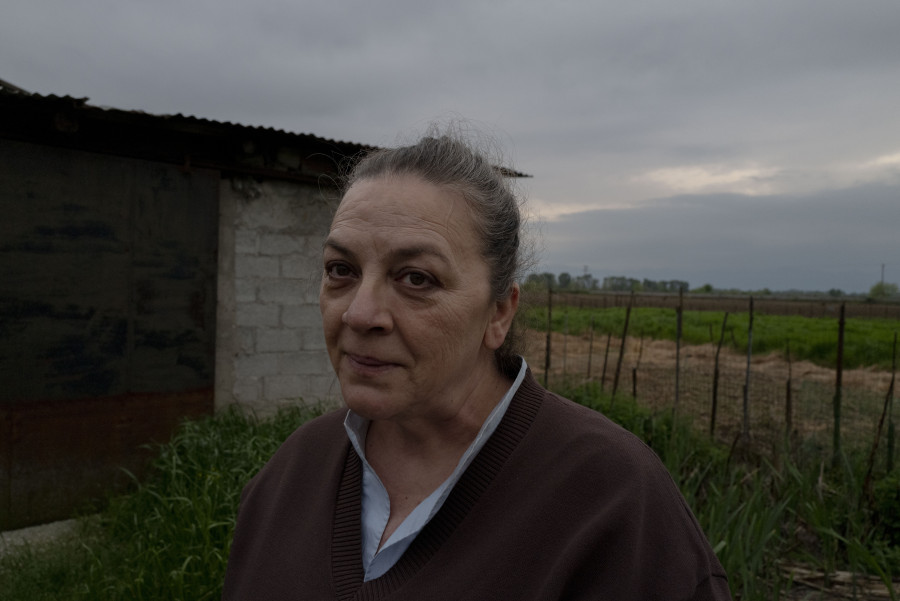 elenialbarosa-sheeppox22_37e04.jpg
