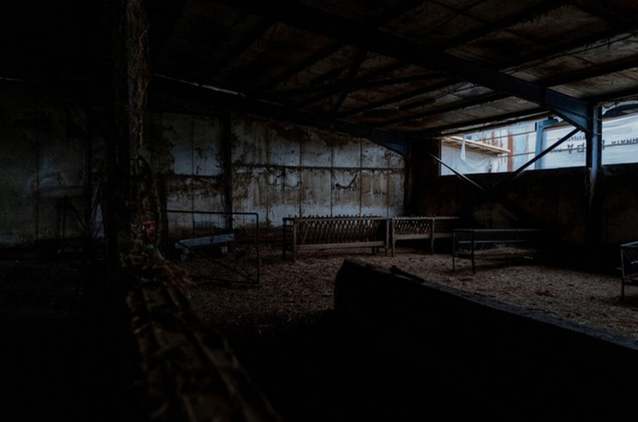 Screenshot_2_10cf4.jpg