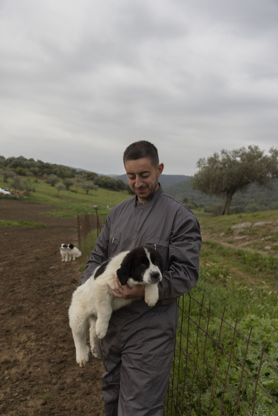 elenialbarosa-sheeppox10_1_44514.jpg