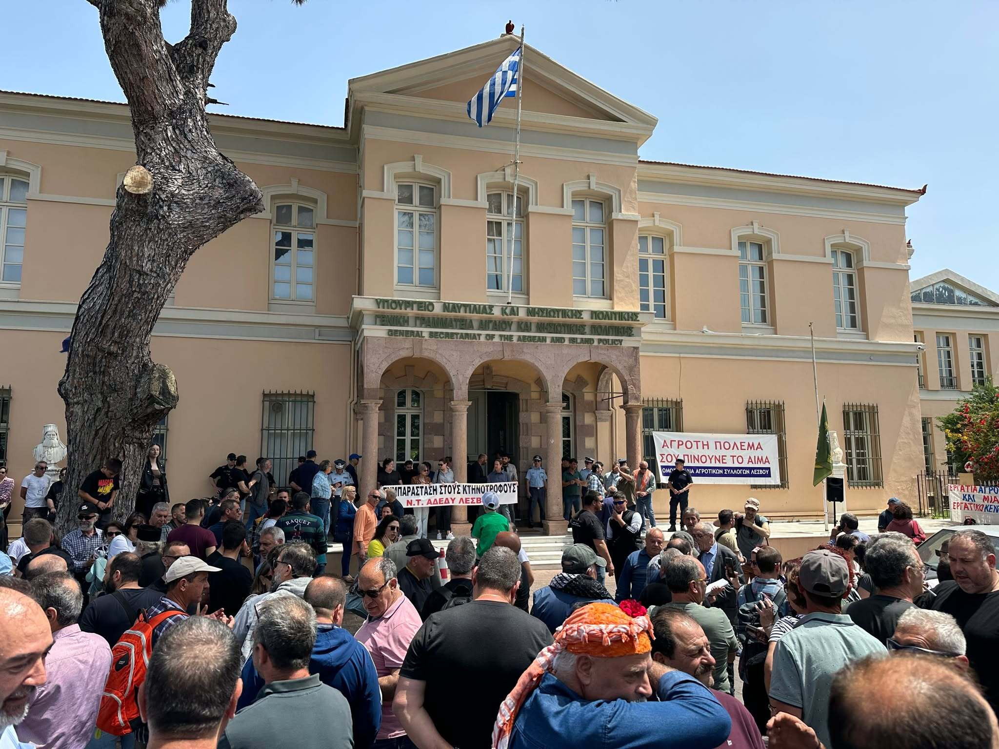 694715900 1413345610820203 6039263369503885116 n b1fac