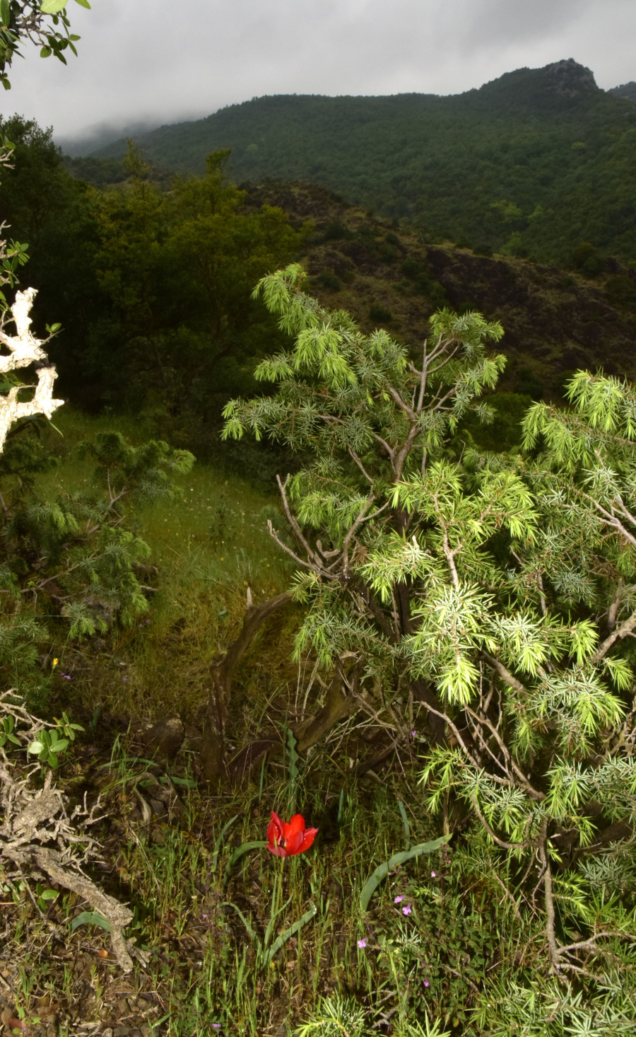 BYTOYMA_9.5.26_102_26b24.JPG