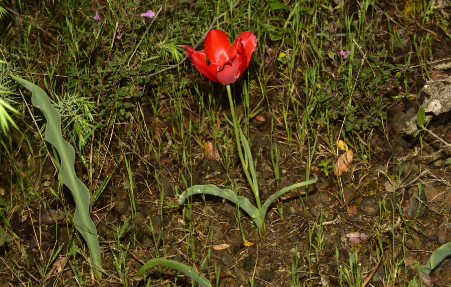 BYTOYMA_9.5.26_50_20cd7.JPG