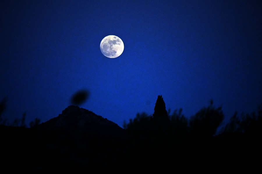 Blue1_0e628.jpg