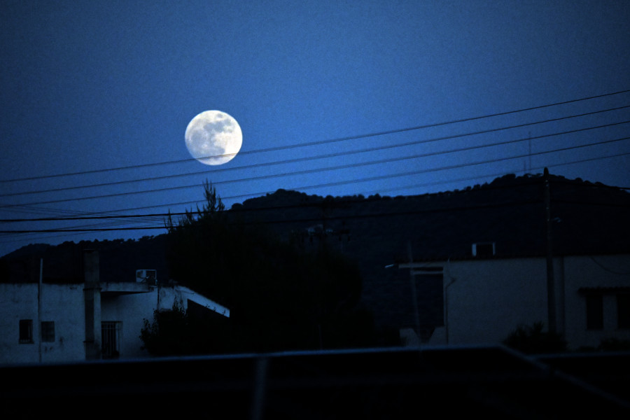 blue2_d2b9e.jpg