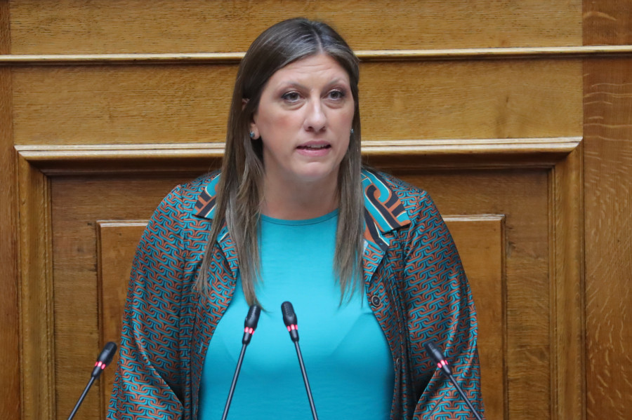 zoi_e046a.jpg
