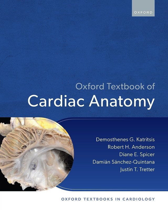 Cardiac_Anatomy_3c40b.jpg